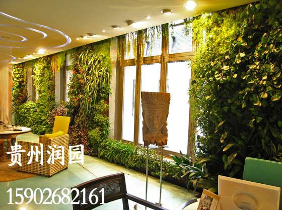 遵义室内绿化装饰包括墙壁绿化和室内绿色景观规划、设计、施工工程